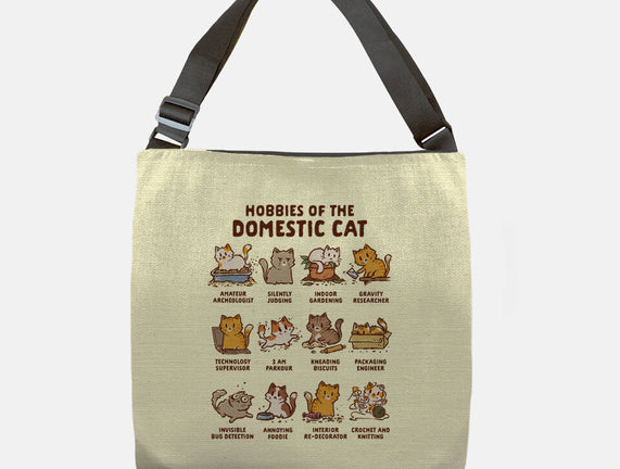 Cat Hobbies
