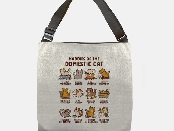 Cat Hobbies