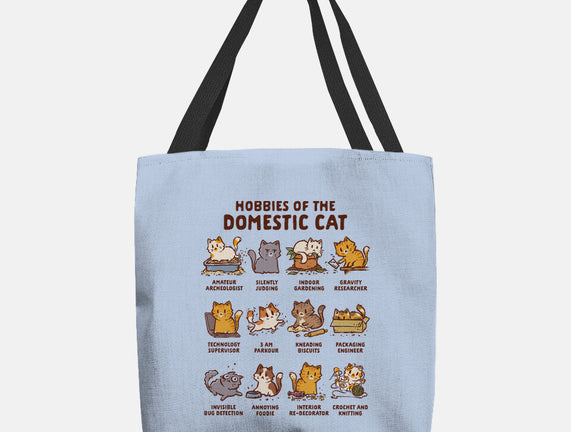 Cat Hobbies