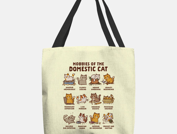 Cat Hobbies
