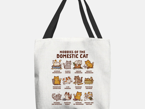 Cat Hobbies