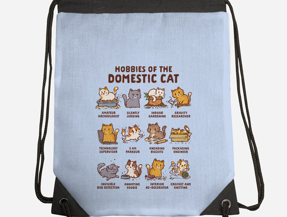 Cat Hobbies