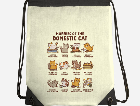 Cat Hobbies