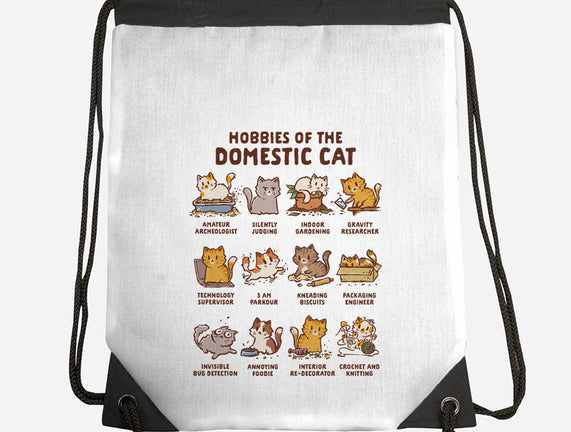 Cat Hobbies