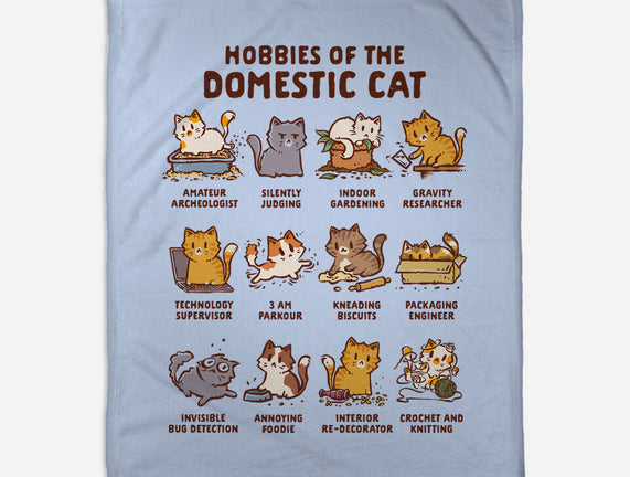 Cat Hobbies