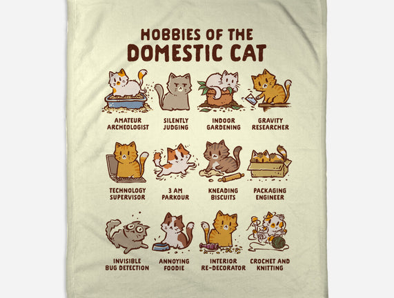 Cat Hobbies