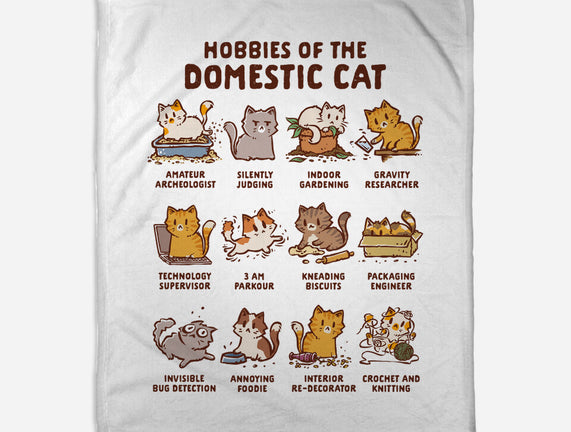 Cat Hobbies
