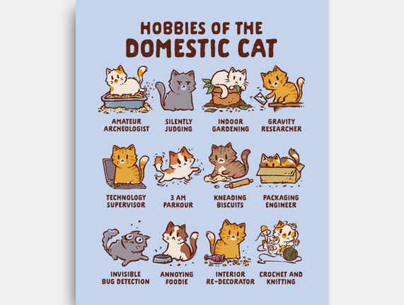 Cat Hobbies