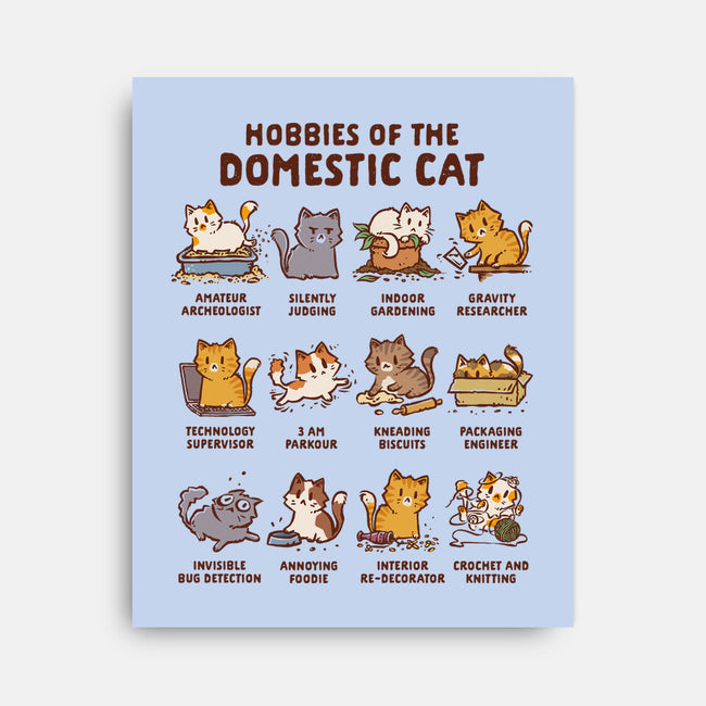 Cat Hobbies-None-Stretched-Canvas-kg07