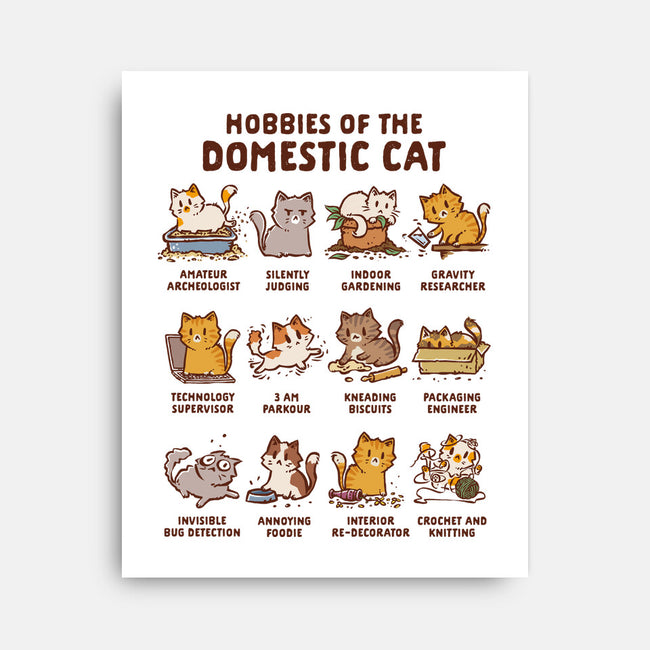 Cat Hobbies-None-Stretched-Canvas-kg07