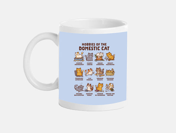 Cat Hobbies