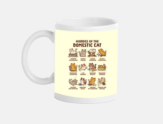 Cat Hobbies