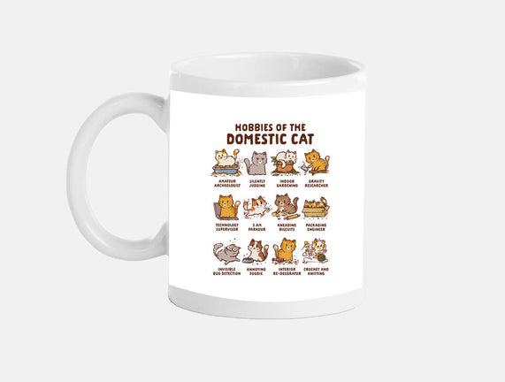 Cat Hobbies