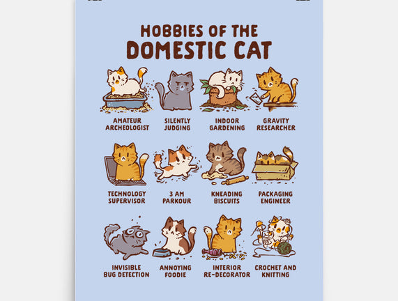 Cat Hobbies