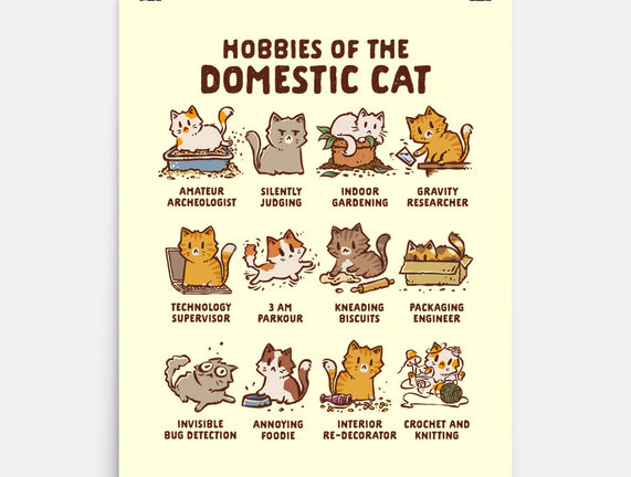 Cat Hobbies