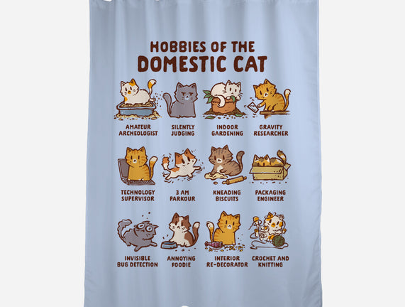 Cat Hobbies
