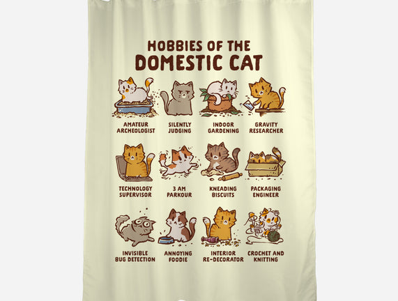 Cat Hobbies