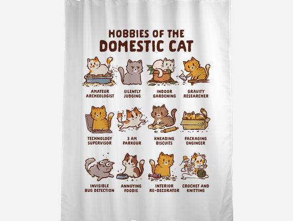 Cat Hobbies