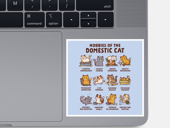 Cat Hobbies