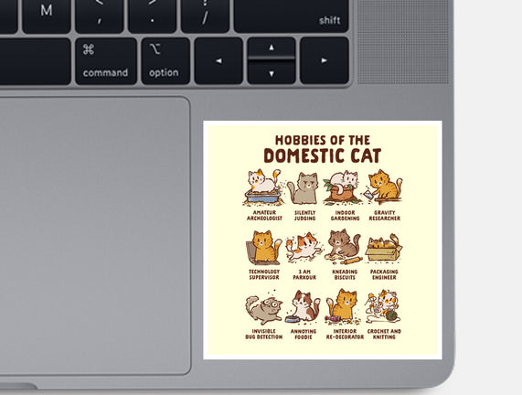 Cat Hobbies