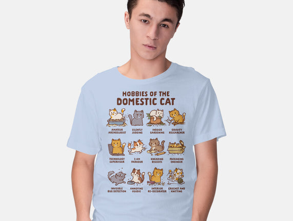 Cat Hobbies