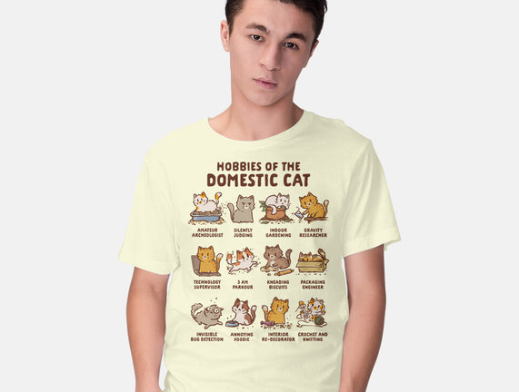 Cat Hobbies