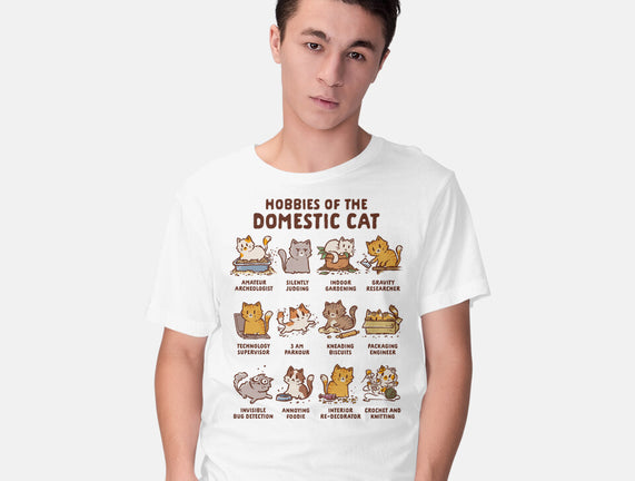 Cat Hobbies