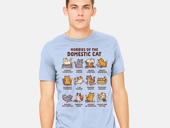 Cat Hobbies