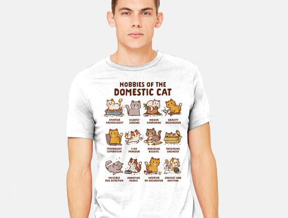 Cat Hobbies