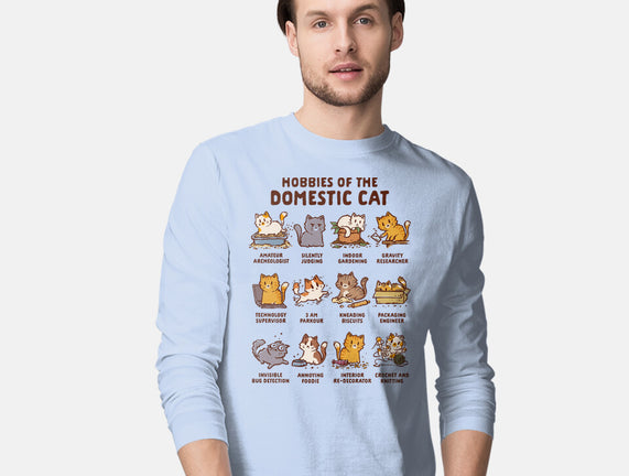 Cat Hobbies
