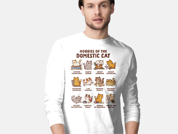 Cat Hobbies