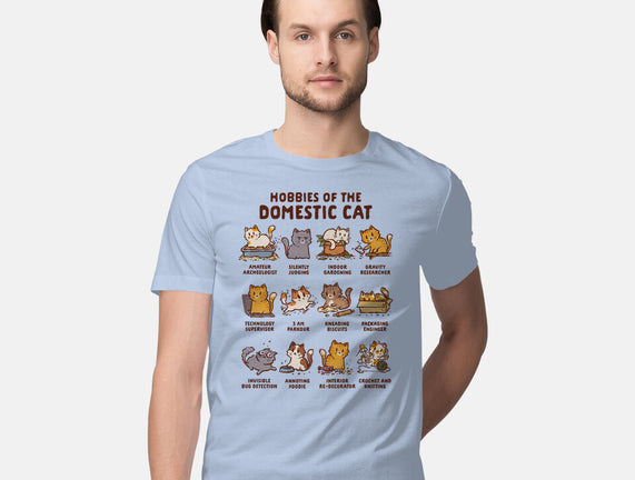 Cat Hobbies
