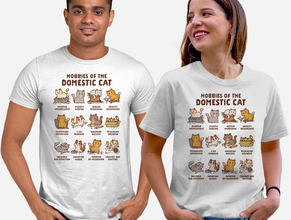 Cat Hobbies