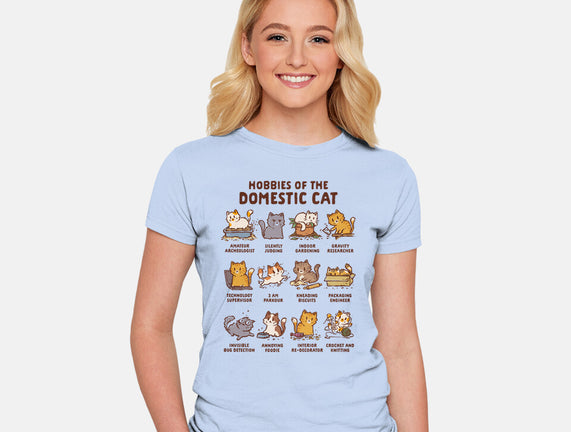 Cat Hobbies