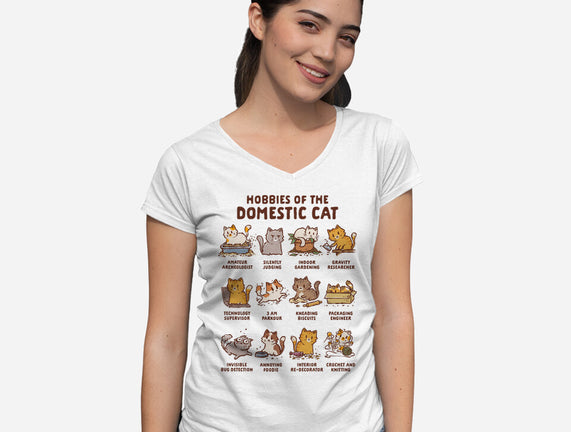 Cat Hobbies
