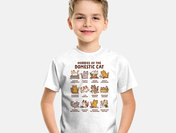 Cat Hobbies