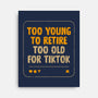 Too Old For TikTok-None-Stretched-Canvas-koalastudio