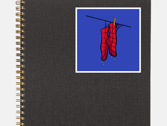 Spider Laundry Day
