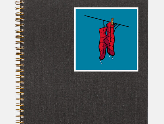Spider Laundry Day