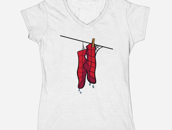 Spider Laundry Day