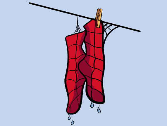 Spider Laundry Day