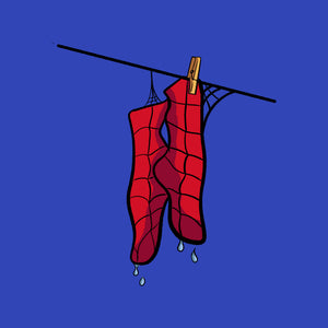 Spider Laundry Day