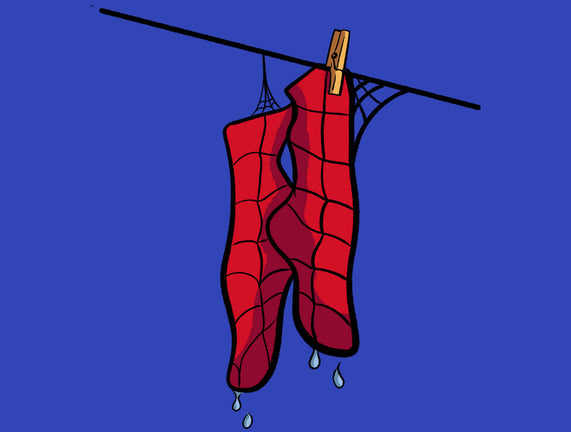 Spider Laundry Day