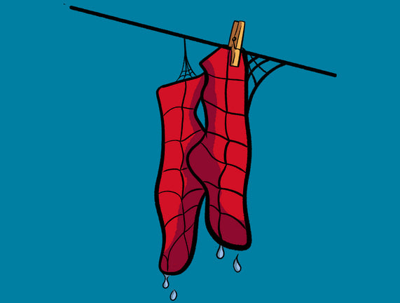 Spider Laundry Day