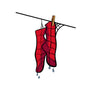 Spider Laundry Day-Womens-Fitted-Tee-nickzzarto