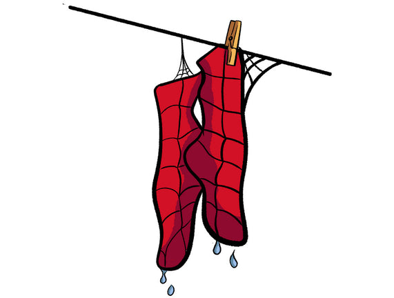 Spider Laundry Day