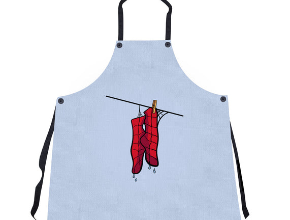 Spider Laundry Day