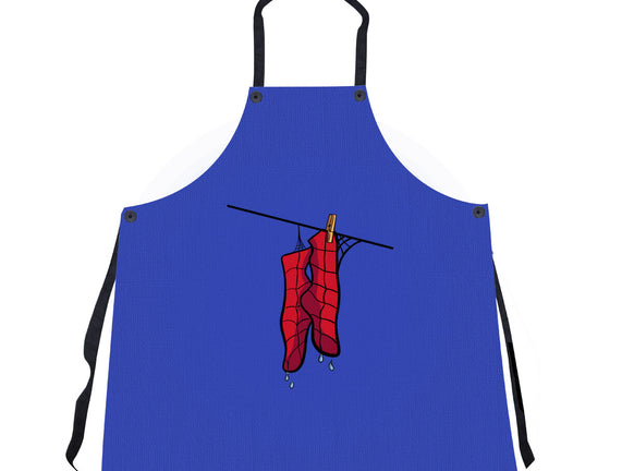 Spider Laundry Day