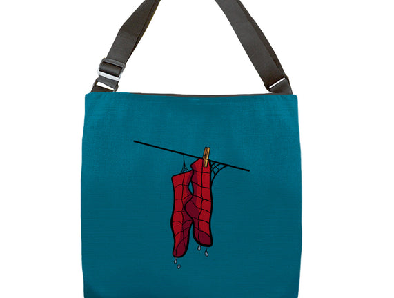 Spider Laundry Day