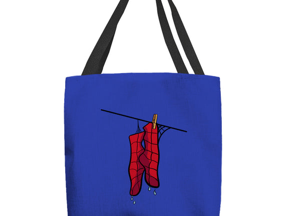 Spider Laundry Day